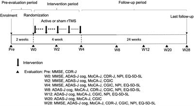 Randomized, sham-controlled, clinical trial of repetitive transcranial magnetic stimulation for patients with Alzheimer’s dementia in Japan